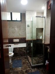 Signature Park (D21), Condominium #575871581